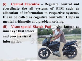 (i) Central Executive – Regulate, control and
coordinate the all systems of STM such as
allocation of information to respective systems.
It can be called as cognitive controller. Helps in
mental arithmetic and problem solving.
(ii) Visuo-spatial Sketch Pad – Also known as
inner eye that stores
and process visual
information.
 