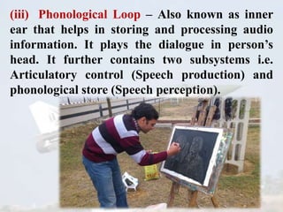 (iii) Phonological Loop – Also known as inner
ear that helps in storing and processing audio
information. It plays the dialogue in person’s
head. It further contains two subsystems i.e.
Articulatory control (Speech production) and
phonological store (Speech perception).
 