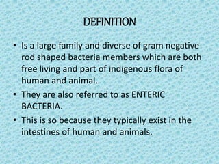 3 Enteric bacteria E.coli Klebsiella-1.pptx