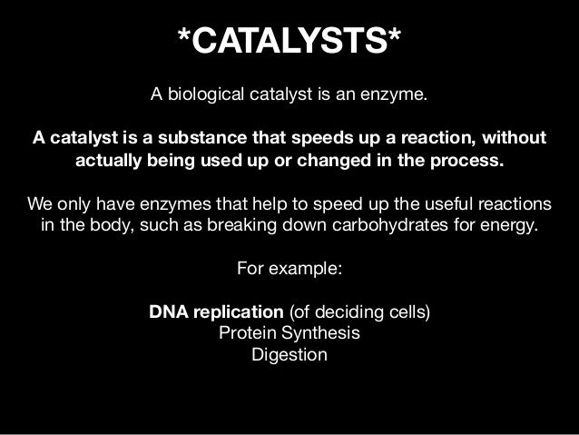 Science coursework enzymes
