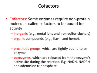 Cofactors
• Cofactors: Some enzymes require non-protein
molecules called cofactors to be bound for
activity
– inorganic (e.g., metal ions and iron-sulfur clusters)
– organic compounds (e.g., flavin and heme).
– prosthetic groups, which are tightly bound to an
enzyme
– coenzymes, which are released from the enzyme's
active site during the reaction. E.g. NADH, NADPH
and adenosine triphosphate
 