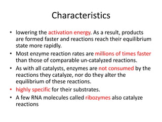 Characteristics
• lowering the activation energy. As a result, products
are formed faster and reactions reach their equilibrium
state more rapidly.
• Most enzyme reaction rates are millions of times faster
than those of comparable un-catalyzed reactions.
• As with all catalysts, enzymes are not consumed by the
reactions they catalyze, nor do they alter the
equilibrium of these reactions.
• highly specific for their substrates.
• A few RNA molecules called ribozymes also catalyze
reactions
 