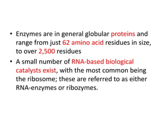 • Enzymes are in general globular proteins and
range from just 62 amino acid residues in size,
to over 2,500 residues
• A small number of RNA-based biological
catalysts exist, with the most common being
the ribosome; these are referred to as either
RNA-enzymes or ribozymes.
 