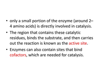 • only a small portion of the enzyme (around 2–
4 amino acids) is directly involved in catalysis.
• The region that contains these catalytic
residues, binds the substrate, and then carries
out the reaction is known as the active site.
• Enzymes can also contain sites that bind
cofactors, which are needed for catalysis.
 