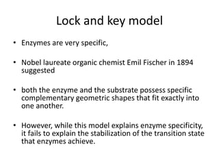 Lock and key model
• Enzymes are very specific,
• Nobel laureate organic chemist Emil Fischer in 1894
suggested
• both the enzyme and the substrate possess specific
complementary geometric shapes that fit exactly into
one another.
• However, while this model explains enzyme specificity,
it fails to explain the stabilization of the transition state
that enzymes achieve.
 