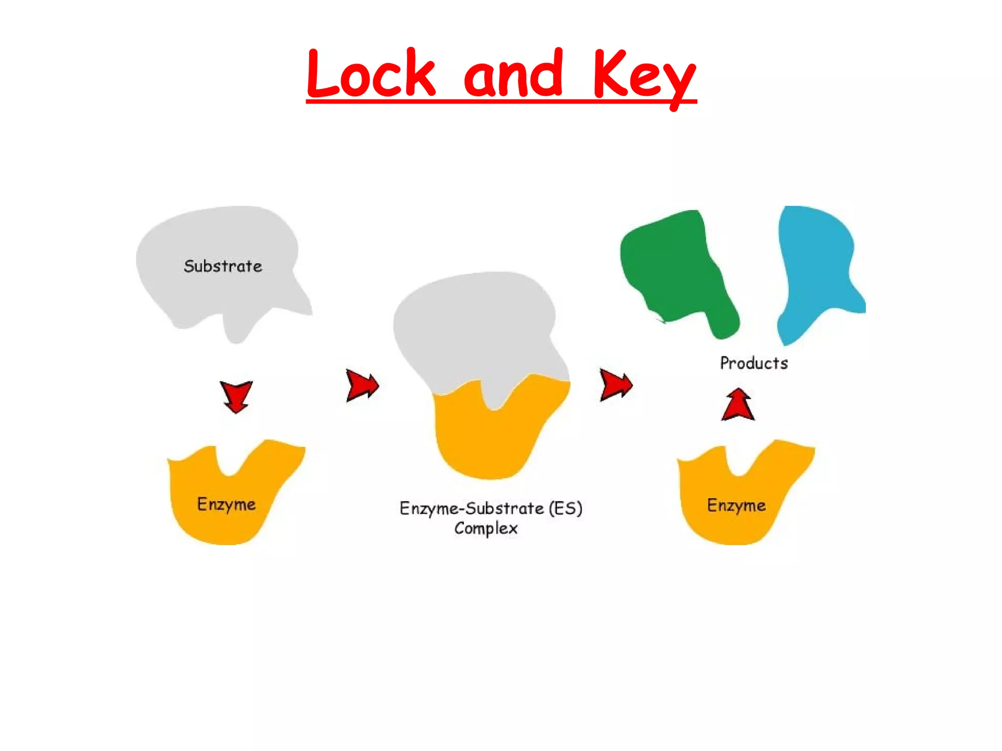 Lock and Key
 