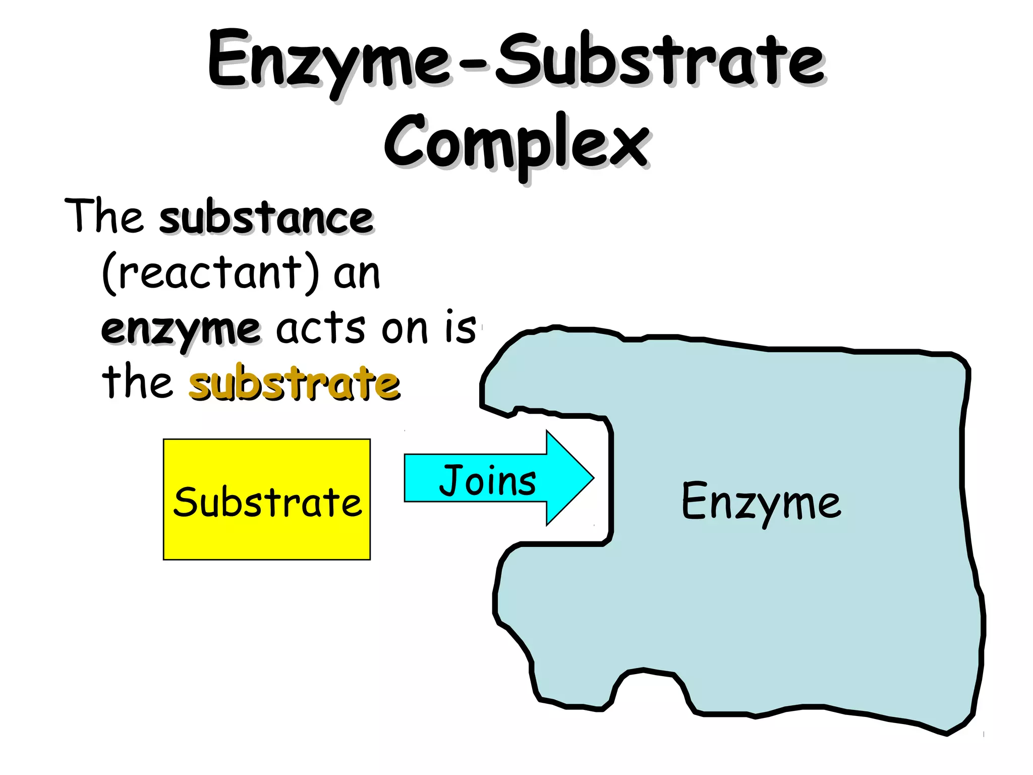 Enzyme-Substrate
          Complex
The substance
 (reactant) an
 enzyme acts on is
 the substrate

                Joins
    Substrate           Enzyme




                                 12
 