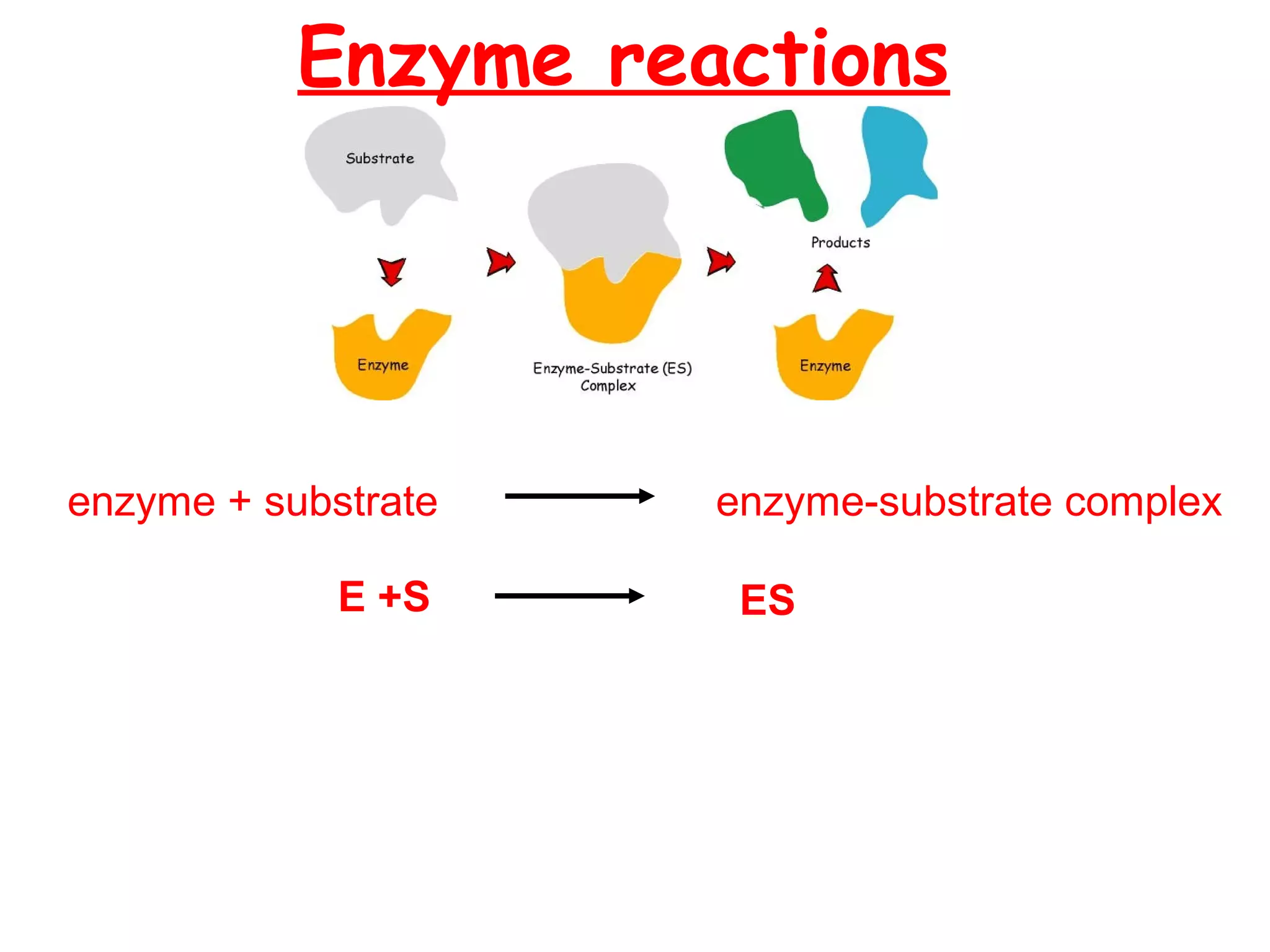 Enzyme reactions




enzyme + substrate   enzyme-substrate complex

             E +S     ES
 