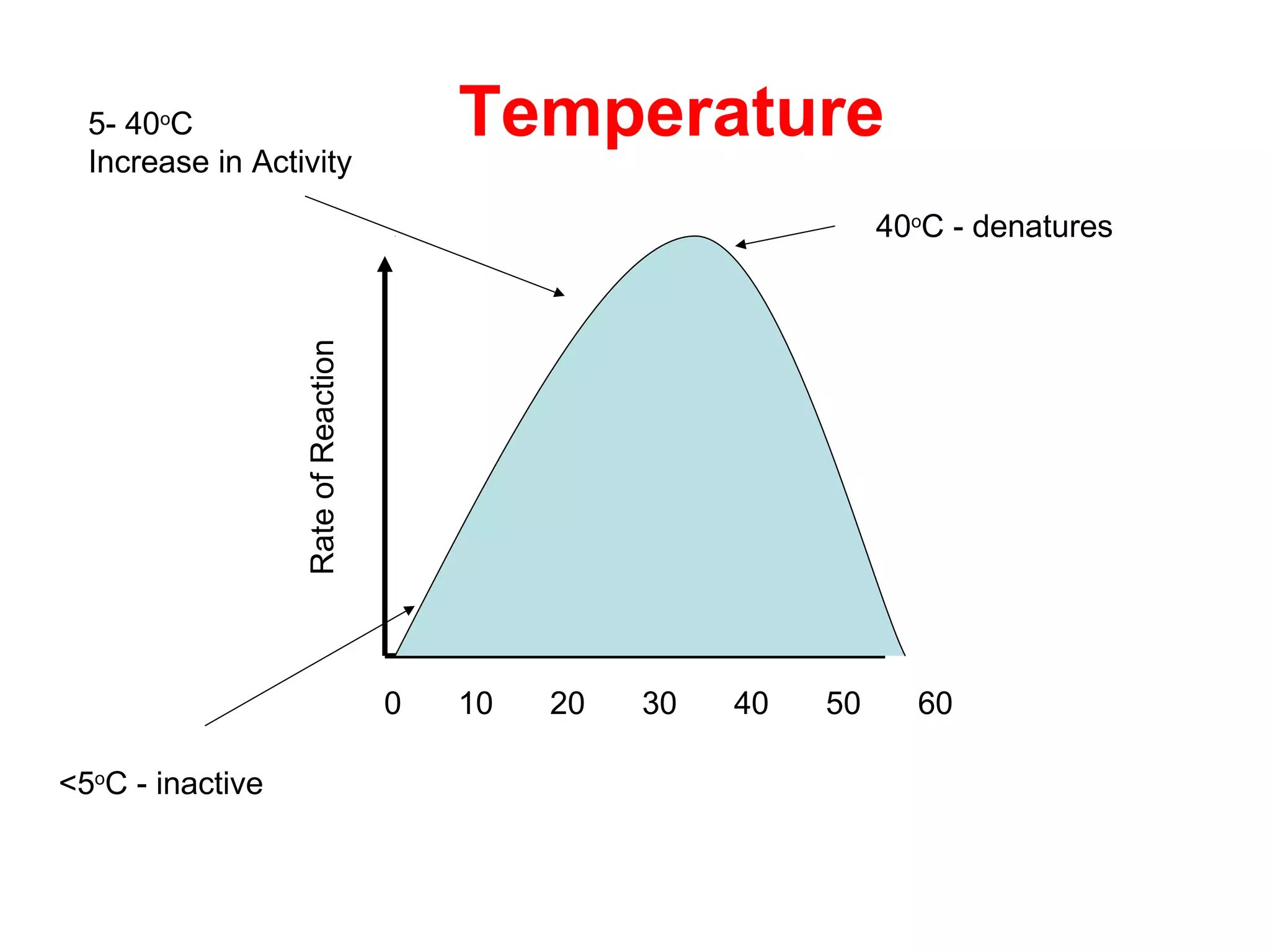 5- 40oC                                Temperature
  Increase in Activity

                                                                  40oC - denatures


                  Rate of Reaction




                                     0   10   20   30   40   50     60

<5oC - inactive
 