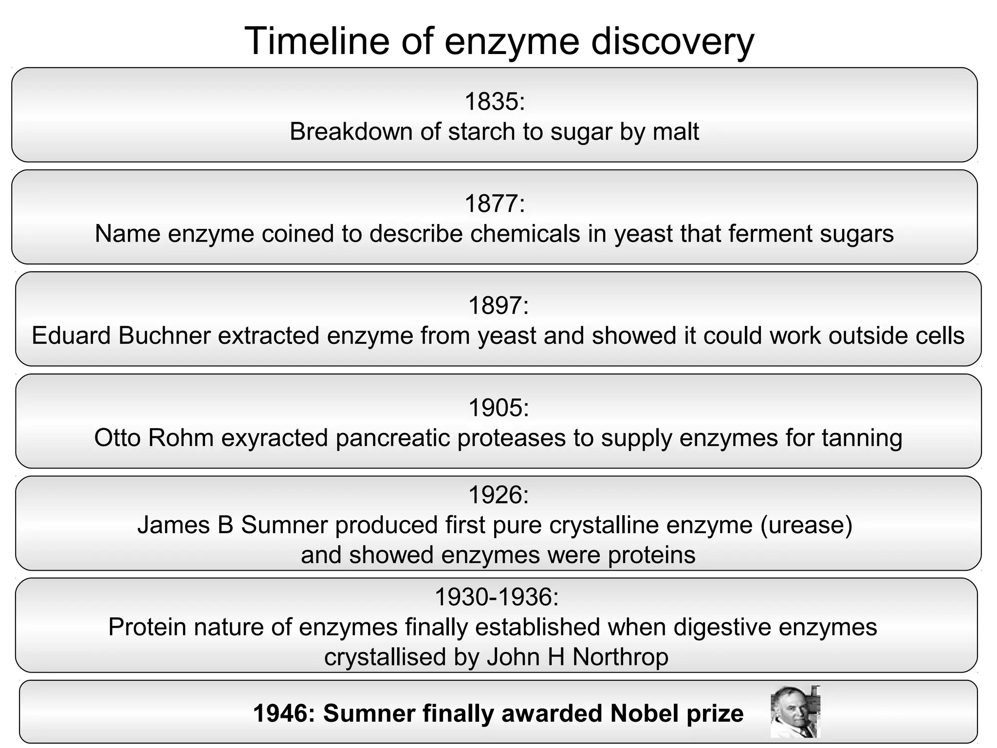 Timeline of enzyme discovery
                                    1835:
                      Breakdown of starch to sugar by malt

                                   1877:
     Name enzyme coined to describe chemicals in yeast that ferment sugars

                                    1897:
Eduard Buchner extracted enzyme from yeast and showed it could work outside cells

                                     1905:
     Otto Rohm exyracted pancreatic proteases to supply enzymes for tanning

                                    1926:
         James B Sumner produced first pure crystalline enzyme (urease)
                     and showed enzymes were proteins
                                     1930-1936:
      Protein nature of enzymes finally established when digestive enzymes
                          crystallised by John H Northrop

                   1946: Sumner finally awarded Nobel prize
 