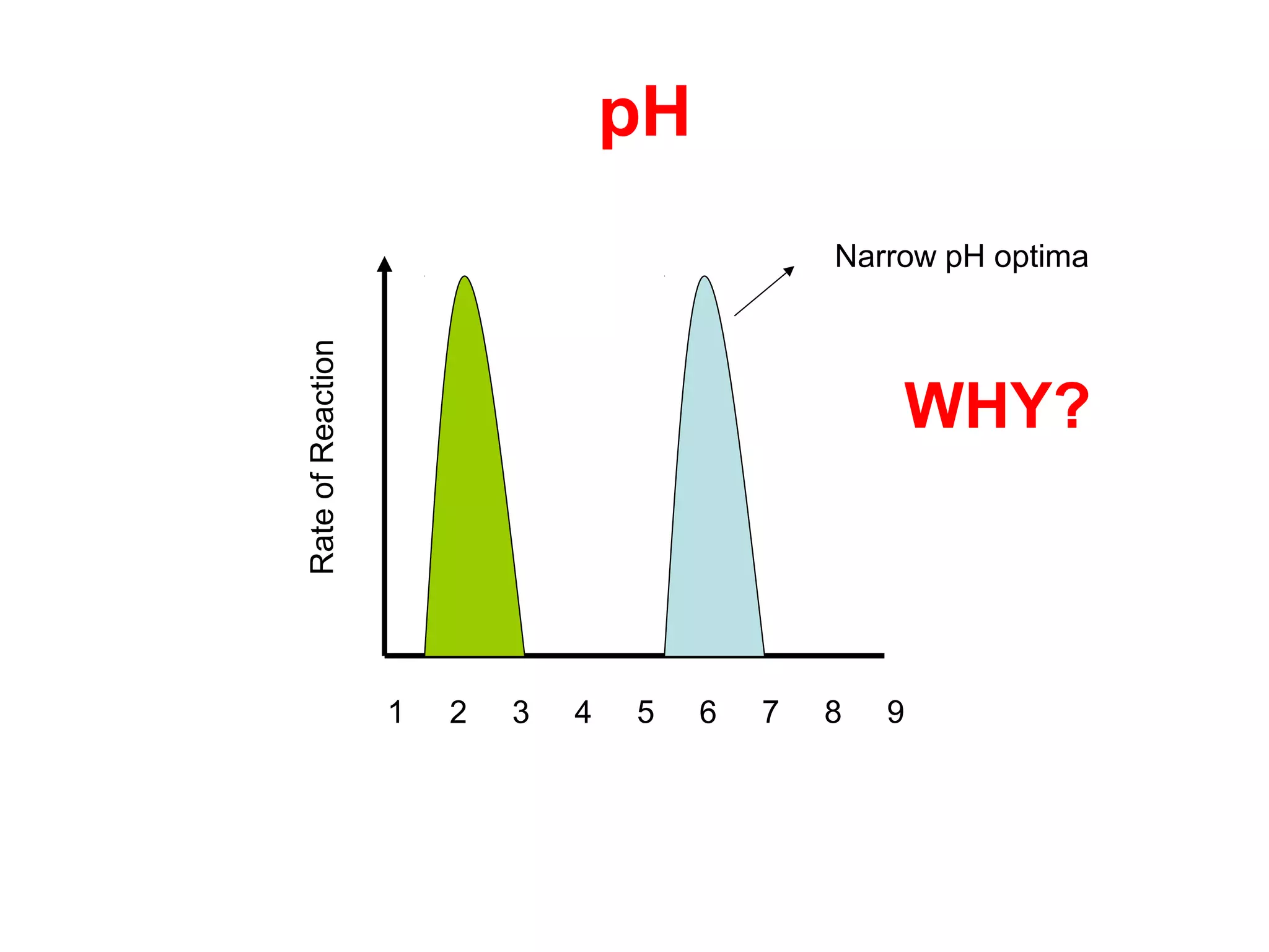 pH
                                                Narrow pH optima

Rate of Reaction

                                                    WHY?



                   1   2   3   4   5    6   7   8   9
 