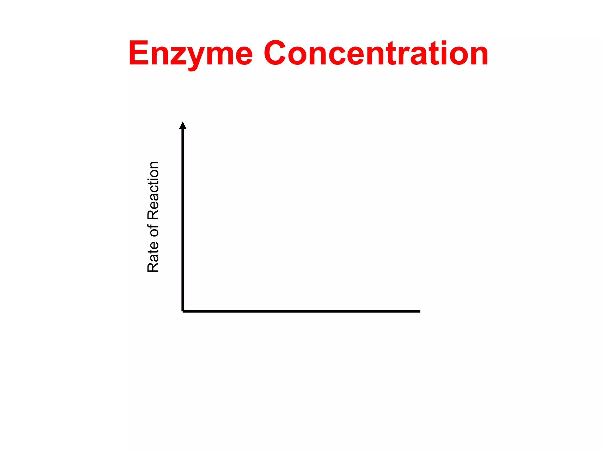 Enzyme Concentration

Rate of Reaction
 
