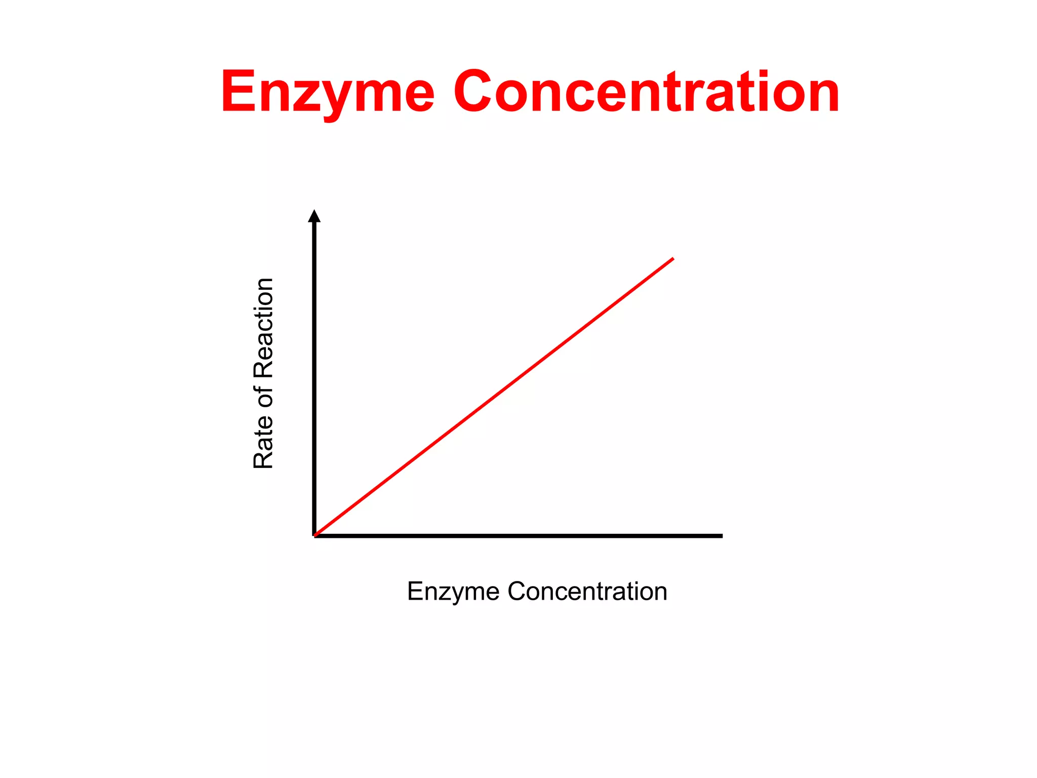 Enzyme Concentration

Rate of Reaction




                   Enzyme Concentration
 