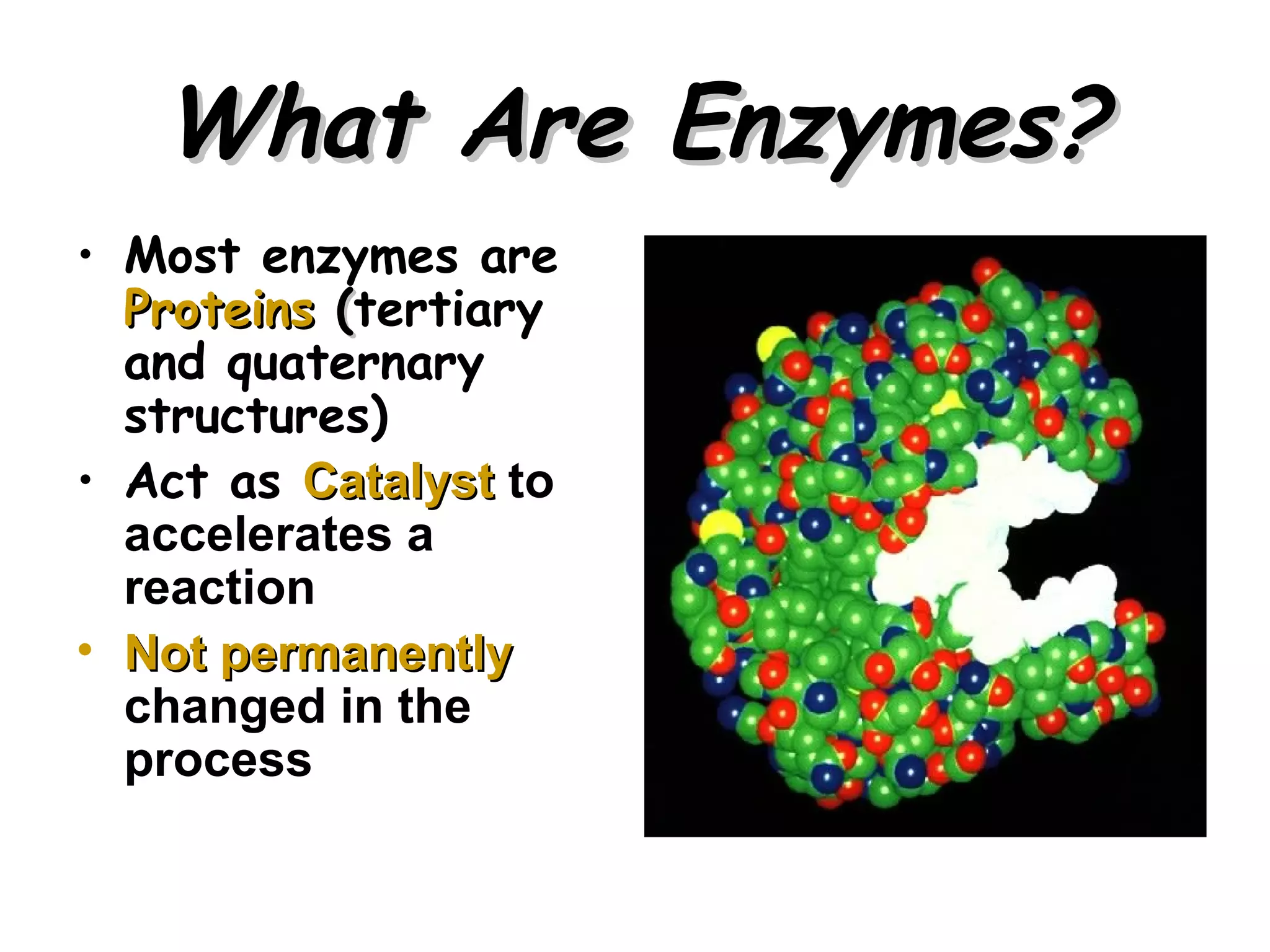 What Are Enzymes?
• Most enzymes are
  Proteins (tertiary
  and quaternary
  structures)
• Act as Catalyst to
  accelerates a
  reaction
• Not permanently
  changed in the
  process


                       5
 