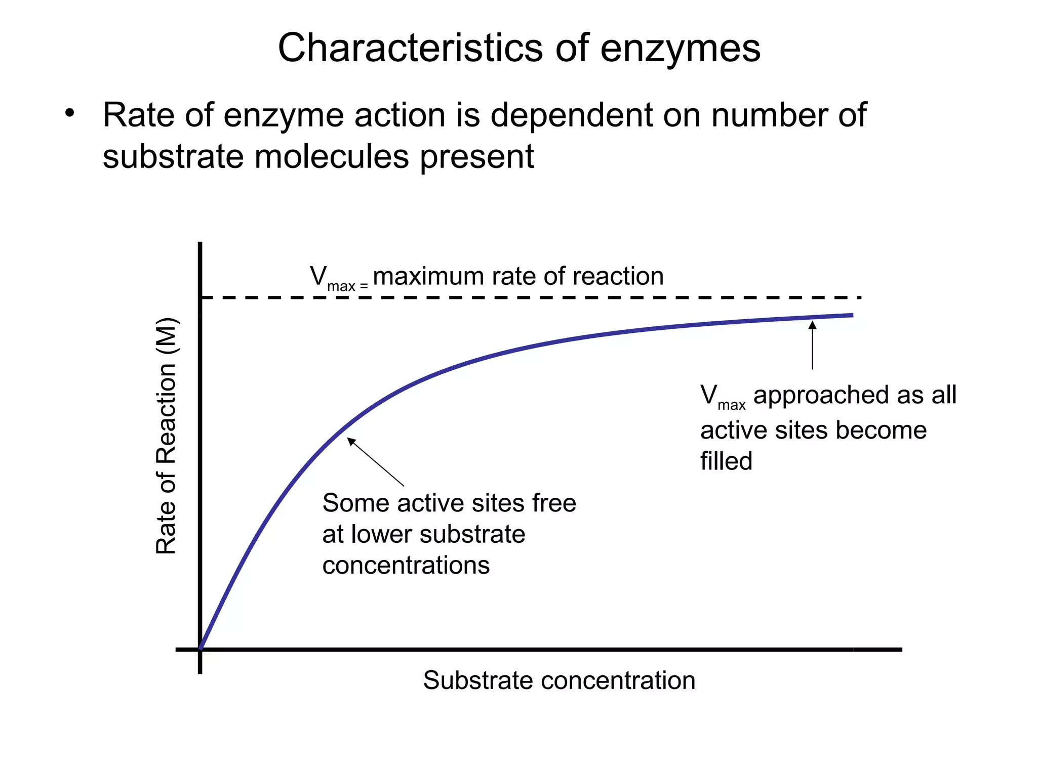 Characteristics of enzymes
• Rate of enzyme action is dependent on number of
  substrate molecules present


                             Vmax = maximum rate of reaction
     Rate of Reaction (M)




                                                                Vmax approached as all
                                                                active sites become
                                                                filled
                              Some active sites free
                              at lower substrate
                              concentrations



                                      Substrate concentration
 