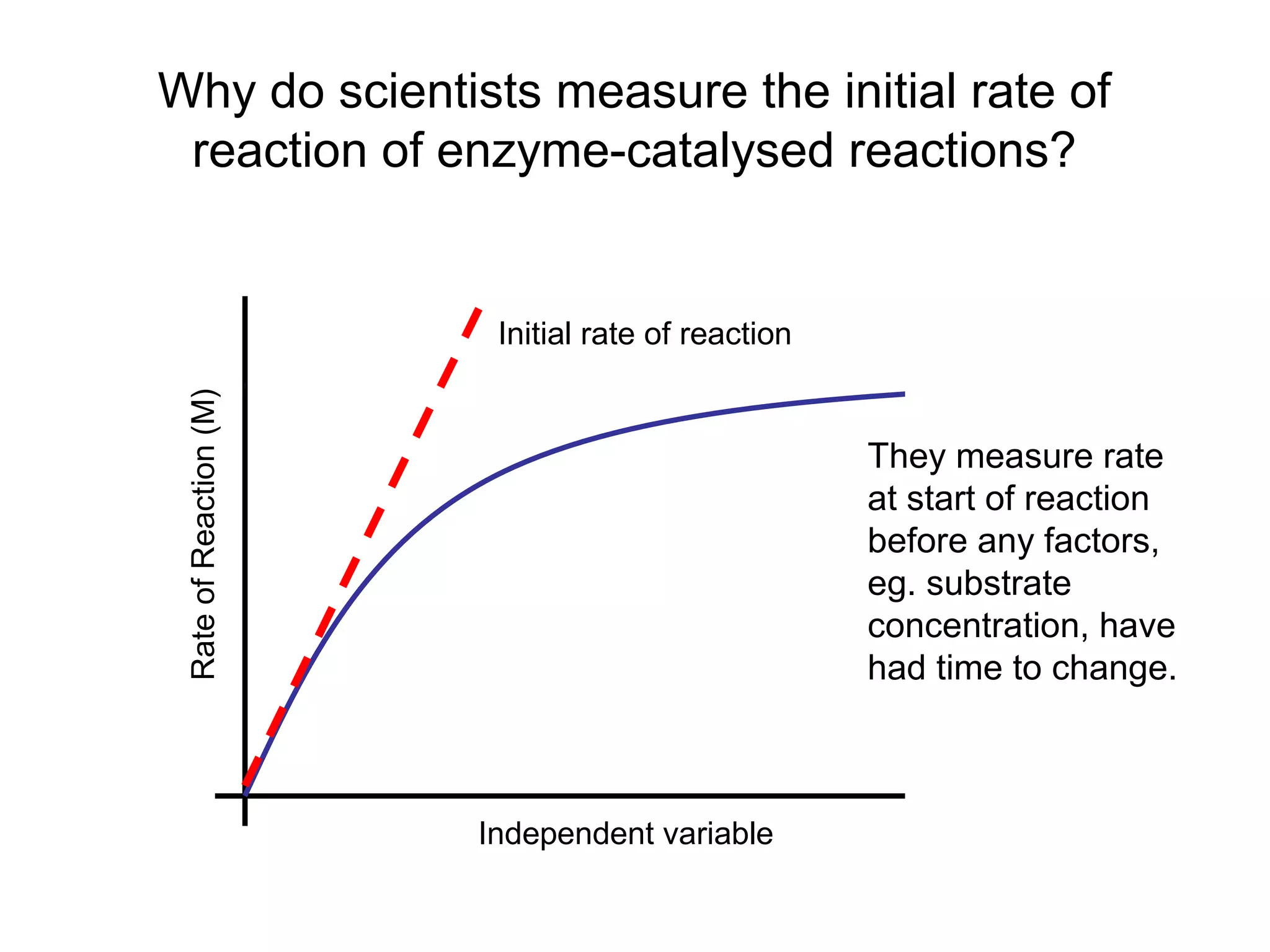 Why do scientists measure the initial rate of
 reaction of enzyme-catalysed reactions?


                         Initial rate of reaction
 Rate of Reaction (M)




                                                    They measure rate
                                                    at start of reaction
                                                    before any factors,
                                                    eg. substrate
                                                    concentration, have
                                                    had time to change.



                        Independent variable
 