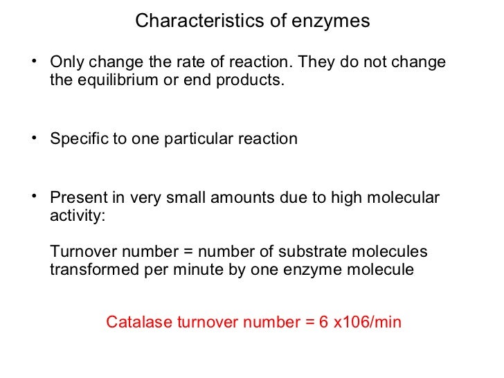 characteristics of enzymes