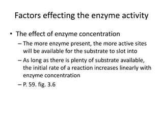 Factors effecting the enzyme activity
• The effect of enzyme concentration
– The more enzyme present, the more active sites
will be available for the substrate to slot into
– As long as there is plenty of substrate available,
the initial rate of a reaction increases linearly with
enzyme concentration
– P. 59. fig. 3.6
 