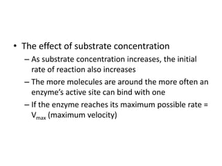 • The effect of substrate concentration
– As substrate concentration increases, the initial
rate of reaction also increases
– The more molecules are around the more often an
enzyme’s active site can bind with one
– If the enzyme reaches its maximum possible rate =
Vmax (maximum velocity)
 