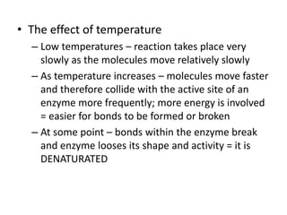 • The effect of temperature
– Low temperatures – reaction takes place very
slowly as the molecules move relatively slowly
– As temperature increases – molecules move faster
and therefore collide with the active site of an
enzyme more frequently; more energy is involved
= easier for bonds to be formed or broken
– At some point – bonds within the enzyme break
and enzyme looses its shape and activity = it is
DENATURATED
 