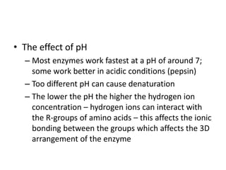 • The effect of pH
– Most enzymes work fastest at a pH of around 7;
some work better in acidic conditions (pepsin)
– Too different pH can cause denaturation
– The lower the pH the higher the hydrogen ion
concentration – hydrogen ions can interact with
the R-groups of amino acids – this affects the ionic
bonding between the groups which affects the 3D
arrangement of the enzyme
 