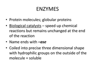 ENZYMES
• Protein molecules; globular proteins
• Biological catalysts – speed up chemical
reactions but remains unchanged at the end
of the reaction
• Name ends with –ase
• Coiled into precise three dimensional shape
with hydrophilic groups on the outside of the
molecule = soluble
 