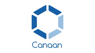 Blockchain Software for Hardware: The Canaan AvalonMiner Open Source Embedded System