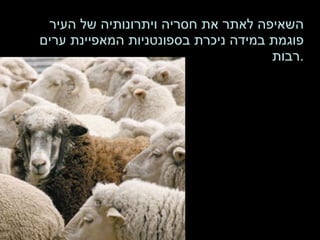 השאיפה לאתר את חסריה ויתרונותיה של העיר פוגמת במידה ניכרת בספונטניות המאפיינת ערים רבות . 