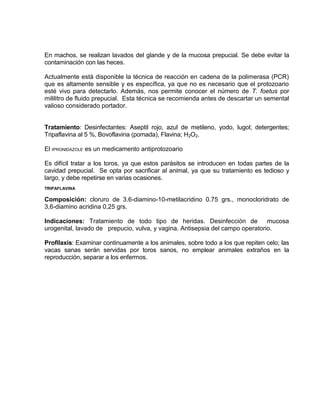 En machos, se realizan lavados del glande y de la mucosa prepucial. Se debe evitar la
contaminación con las heces.
Actualmente está disponible la técnica de reacción en cadena de la polimerasa (PCR)
que es altamente sensible y es específica, ya que no es necesario que el protozoario
esté vivo para detectarlo. Además, nos permite conocer el número de T. foetus por
mililitro de fluido prepucial. Esta técnica se recomienda antes de descartar un semental
valioso considerado portador.
Tratamiento: Desinfectantes: Aseptil rojo, azul de metileno, yodo, lugol; detergentes;
Tripaflavina al 5 %, Bovoflavina (pomada), Flavina; H2O2.
El IPRONIDAZOLE es un medicamento antiprotozoario
Es difícil tratar a los toros, ya que estos parásitos se introducen en todas partes de la
cavidad prepucial. Se opta por sacrificar al animal, ya que su tratamiento es tedioso y
largo, y debe repetirse en varias ocasiones.
TRIPAFLAVINA
Composición: cloruro de 3.6-diamino-10-metilacridino 0.75 grs., monocloridrato de
3,6-diamino acridina 0,25 grs.
Indicaciones: Tratamiento de todo tipo de heridas. Desinfección de mucosa
urogenital, lavado de prepucio, vulva, y vagina. Antisepsia del campo operatorio.
Profilaxis: Examinar continuamente a los animales, sobre todo a los que repiten celo; las
vacas sanas serán servidas por toros sanos, no emplear animales extraños en la
reproducción, separar a los enfermos.
 