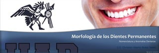 Morfología de los Dientes Permanentes
Nomenclatura y Anomalías Dentarias
C.D. Christian Alberto Buleje Toledo
 