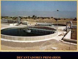 DECANTADORES PRIMARIOS 