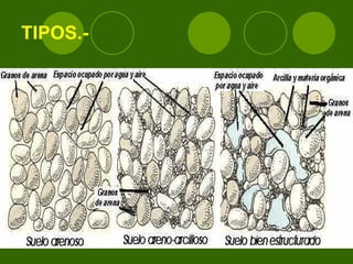 TIPOS.- 