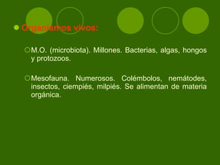 Organismos vivos: M.O. (microbiota). Millones. Bacterias, algas, hongos y protozoos.  Mesofauna. Numerosos. Colémbolos, nemátodes, insectos, ciempiés, milpiés. Se alimentan de materia orgánica. 