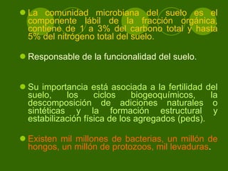 La comunidad microbiana del suelo es el componente lábil de la fracción orgánica, contiene de 1 a 3% del carbono total y hasta 5% del nitrógeno total del suelo.  Responsable de la funcionalidad del suelo. Su importancia está asociada a la fertilidad del suelo, los ciclos biogeoquímicos, la descomposición de adiciones naturales o sintéticas y la formación estructural y estabilización física de los agregados (peds).  Existen mil millones de bacterias, un millón de hongos, un millón de protozoos, mil levaduras .  