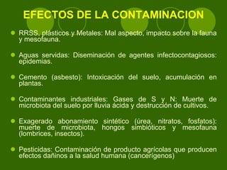 EFECTOS DE LA CONTAMINACION RRSS, plásticos y Metales: Mal aspecto, impacto sobre la fauna y mesofauna. Aguas servidas: Diseminación de agentes infectocontagiosos: epidemias. Cemento (asbesto): Intoxicación del suelo, acumulación en plantas. Contaminantes industriales: Gases de S y N: Muerte de microbiota del suelo por lluvia ácida y destrucción de cultivos. Exagerado abonamiento sintético (úrea, nitratos, fosfatos): muerte de microbiota, hongos simbióticos y mesofauna (lombrices, insectos). Pesticidas: Contaminación de producto agrícolas que producen efectos dañinos a la salud humana (cancerígenos) 