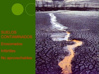 SUELOS CONTAMINADOS Erosionados Infértiles  No aprovechables 