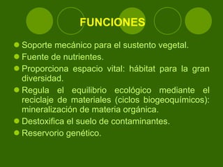 FUNCIONES Soporte mecánico para el sustento vegetal. Fuente de nutrientes. Proporciona espacio vital: hábitat para la gran diversidad. Regula el equilibrio ecológico mediante el reciclaje de materiales (ciclos biogeoquímicos): mineralización de materia orgánica. Destoxifica el suelo de contaminantes. Reservorio genético.   