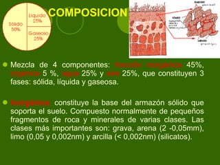 COMPOSICION Mezcla de 4 componentes:  fracción inorgánica  45%,  orgánica  5 %,  agua  25% y  aire  25%, que constituyen 3 fases: sólida, líquida y gaseosa.  Inorgánica :  constituye la base del armazón sólido que soporta el suelo. Compuesto normalmente de pequeños fragmentos de roca y minerales de varias clases. Las clases más importantes son: grava, arena (2 -0,05mm), limo (0,05 y 0,002nm) y  arcilla (< 0,002nm) (silicatos).  