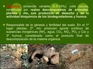 Orgánica :  contenido variable (0.5-10%), color oscuro, constituida por  restos descompuestos de animales, plantas y mo, sus productos de desecho y de la actividad bioquímica de los biodegradadores y humus.  Responsable de la génesis y fertilidad del suelo. En el 1º lugar: plantas, 2º: mo: producen aporte continuo de sustancias inorgánicas (NH 4 , agua, CO 2 , NO 3 , PO 4  y Ca) y 3º humus, considerado como el producto final de descomposición de la materia orgánica. 