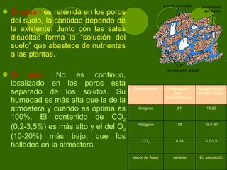 El agua.-  es retenida en los poros del suelo, la cantidad depende de la existente. Junto con las sales disueltas forma la “solución del suelo” que abastece de nutrientes a las plantas. El aire.-  N o es continuo, localizado en los poros esta separado de los sólidos. Su humedad es más alta que la de la atmósfera y cuando es óptima es 100%. El contenido de CO 2  (0,2-3,5%) es más alto y el del O 2  (10-20%) más bajo, que los hallados en la atmósfera. Componente Composición Aire Atmosférico % Composición Aire del Suelo Oxígeno 21 10-20 Nitrógeno 78 78,5-80 CO 2 0,03 0,2-3,5 Vapor de Agua variable En saturación 
