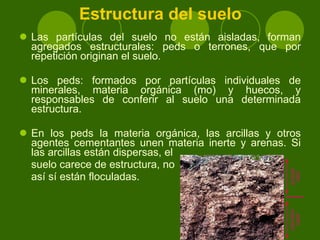 Estructura del suelo Las partículas del suelo no están aisladas, forman agregados estructurales: peds o terrones, que por repetición originan el suelo.  Los peds: formados por partículas individuales de minerales, materia orgánica (mo) y huecos, y responsables de conferir al suelo una determinada estructura. En los peds la materia orgánica, las arcillas y otros agentes cementantes unen materia inerte y arenas. Si las arcillas están dispersas, el suelo carece de estructura, no así sí están floculadas. 
