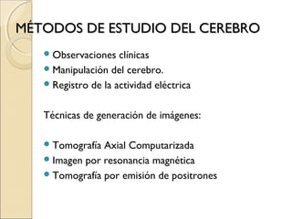 MÉTODOS DE ESTUDIO DEL CEREBROMÉTODOS DE ESTUDIO DEL CEREBRO
Observaciones clínicas
Manipulación del cerebro.
Registro de la actividad eléctrica
Técnicas de generación de imágenes:
Tomografía Axial Computarizada
Imagen por resonancia magnética
Tomografía por emisión de positrones
 