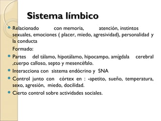 Sistema límbicoSistema límbico
 Relacionado con memoria, atención, instintos
sexuales, emociones ( placer, miedo, agresividad), personalidad y
la conducta
Formado:
 Partes del tálamo, hipotálamo, hipocampo, amígdala cerebral
,cuerpo calloso, septo y mesencéfalo.
 Interacciona con sistema endócrino y SNA
 Control junto con córtex en : -apetito, sueño, temperatura,
sexo, agresión, miedo, docilidad.
 Cierto control sobre actividades sociales.
 