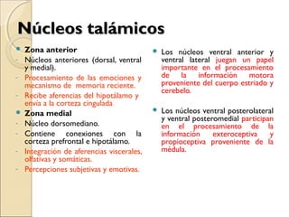 Núcleos talámicosNúcleos talámicos
 Zona anterior
- Núcleos anteriores (dorsal, ventral
y medial).
- Procesamiento de las emociones y
mecanismo de memoria reciente.
- Recibe aferencias del hipotálamo y
envía a la corteza cingulada.
 Zona medial
- Núcleo dorsomediano.
- Contiene conexiones con la
corteza prefrontal e hipotálamo.
- Integración de aferencias viscerales,
olfativas y somáticas.
- Percepciones subjetivas y emotivas.
 Los núcleos ventral anterior y
ventral lateral juegan un papel
importante en el procesamiento
de la información motora
proveniente del cuerpo estriado y
cerebelo.
 Los núcleos ventral posterolateral
y ventral posteromedial participan
en el procesamiento de la
información exteroceptiva y
propioceptiva proveniente de la
médula.
 