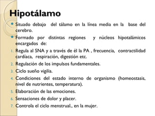 HipotálamoHipotálamo
 Situado debajo del tálamo en la línea media en la base del
cerebro.
 Formado por distintas regiones y núcleos hipotalámicos
encargados de:
1. Regula al SNA y a través de él la PA , frecuencia, contractilidad
cardíaca, respiración, digestión etc.
2. Regulación de los impulsos fundamentales.
3. Ciclo sueño vigilia.
4. Condiciones del estado interno de organismo (homeostasis,
nivel de nutrientes, temperatura).
5. Elaboración de las emociones.
6. Sensaciones de dolor y placer.
7. Controla el ciclo menstrual., en la mujer.
 