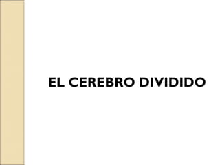 EL CEREBRO DIVIDIDO
 