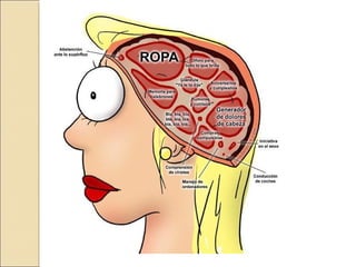 3 era clase sistema nervioso central