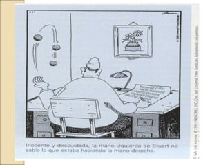 3 era clase sistema nervioso central