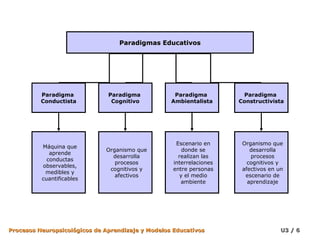 Paradigmas Educativos




          Paradigma            Paradigma            Paradigma          Paradigma
          Conductista           Cognitivo          Ambientalista      Constructivista




                                                     Escenario en      Organismo que
          Máquina que
                              Organismo que             donde se          desarrolla
             aprende
                                desarrolla            realizan las        procesos
            conductas
                                 procesos           interrelaciones      cognitivos y
          observables,
                               cognitivos y         entre personas     afectivos en un
           medibles y
                                 afectivos             y el medio       escenario de
          cuantificables
                                                       ambiente          aprendizaje




Procesos Neuropsicológicos de Aprendizaje y Modelos Educativos                       U3 / 6
 