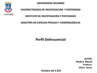 UNIVERSIDAD YACAMBÚ 
VICERRECTORADO DE INVESTIGACIÓN Y POSTGRADO 
INSTITUTO DE INVESTIGACIÓN Y POSTGRADO 
MAESTRÍA EN CIENCIAS PENALES Y CRIMINOLÓGICAS 
Perfil Delincuencial 
AUTOR: 
Medina Alberdi 
Profesor: 
Gloria Torres 
Octubre del 2.014  